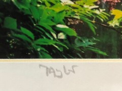 Signed Claude Taylor Monet’s Garden France Framed Matted Photograph 11×9