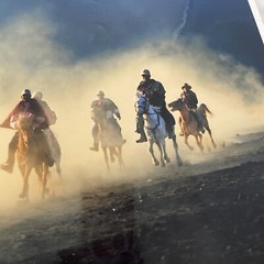 Returning Home Photo 12″ x 18″ Horses