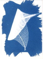 🎁 Set 13: All Handmade Photographic Cyanotype Greeting Cards Set of 12pcs 🎁