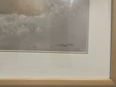 Thomas Mangelsen’s “Bear Hug”. Signed Limited Eddition Print, 792/1500. Framed