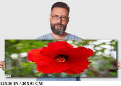 Ruby Blooms: Red Hawaiian Hibiscus Flower Tropical Wall Art Metal Canvas Print