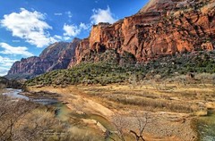 Zion National Park Virgin River Utah #3 Red Rock Canyon Poster Photo Print ZP24