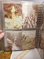 OVER 100 4X6 1970s/80s NATIONAL PARKS KODACHROME PHOTOS IN ALBUM