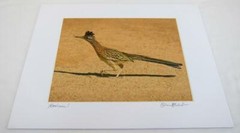 Roadrunner! Palm Springs CA 8×10 Photograph signed Brian Blackwelder – #76