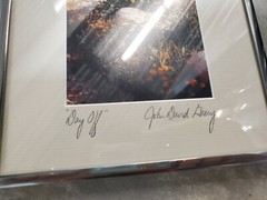 Lot 2 ORIGINAL SIGNED AND TITLED FRAMED PHOTOGRAPH BY JOHN DAVID GEERY