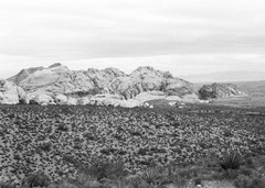 Red Rock Canyon, View #1, Nevada, USA, 40 x 60in Art photo by Mel Gonz