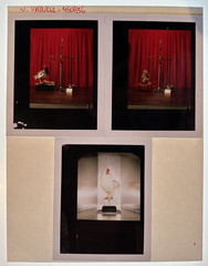 Nitin Vadukul Project 161 Negatives BASELINE Magazine Kodak 160VC Chicken