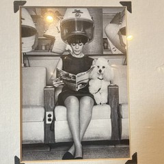 Vintage Black & White Photograph Woman Under Hair Dryer w/ Dog, Framed Matted