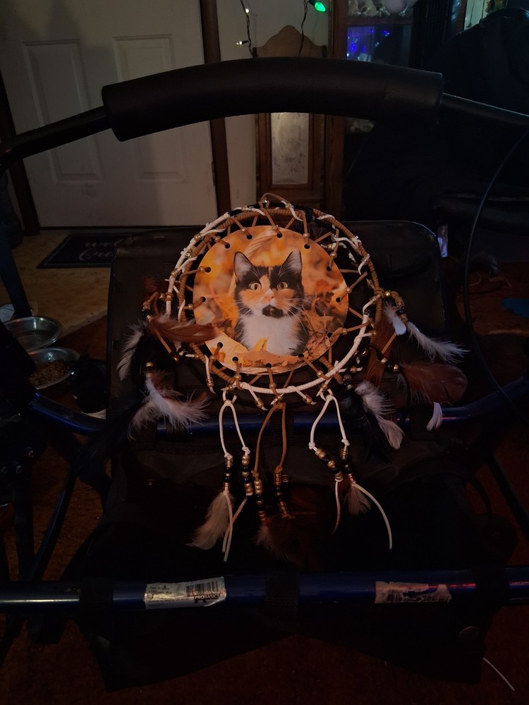 Dream Catchers