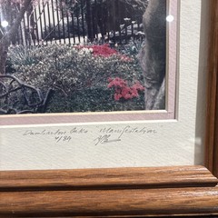 Cherry Blossom Photo Limited Edition # 4/89 Hand Signed Framed 16 1/2”x 13 1/2