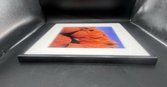 RODNEY LOUGH JR. JUMBO ROCKS – THE LOUGH ROAD WILDERNESS COLLECTION FRAMED / MAT