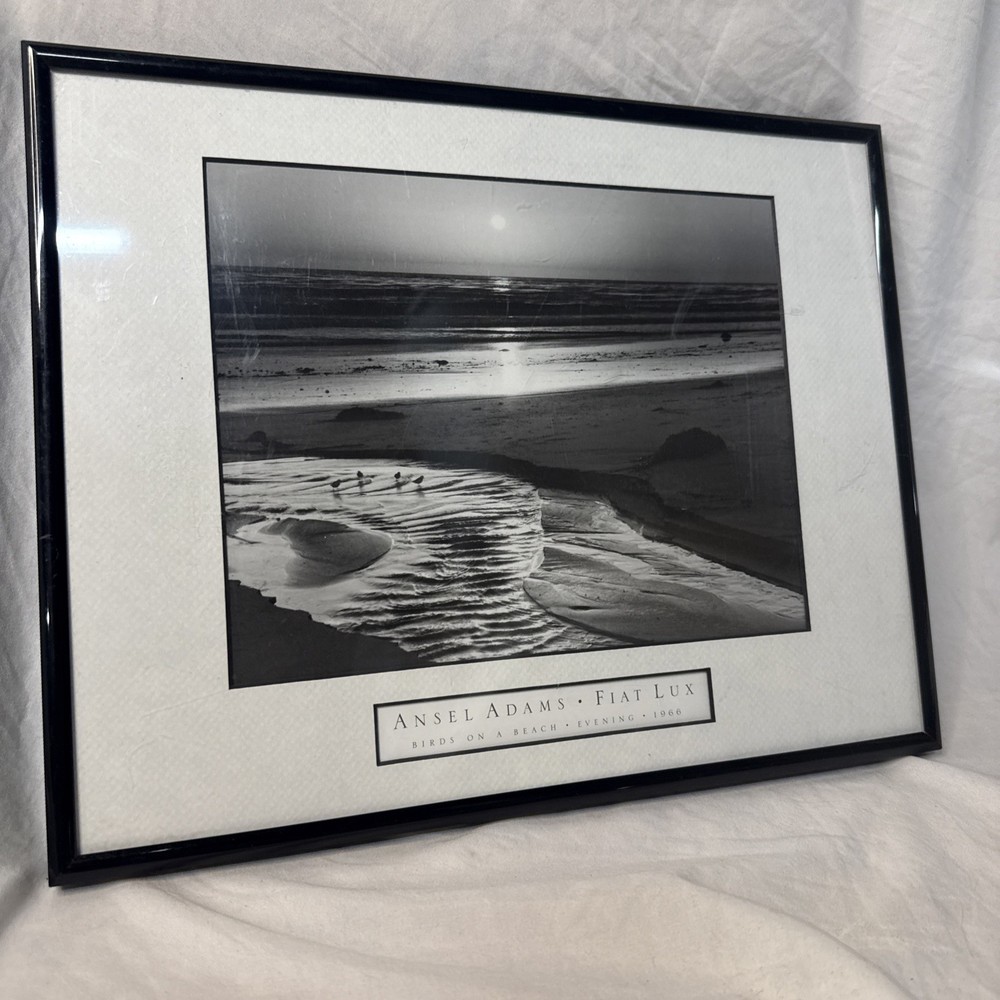 Ansel Adams Birds on a Beach Evening Framed Framed 1966 Photo 12×14 Wall Art VTG
