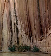 1962 Eliot Porter Glen Canyon Colorado River Shear Wall Art Photo Gravure