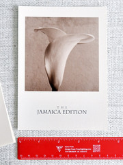 1994 Cecil Ward Jamica Edition Art Postcards. 9 Different Photography Cards RARE