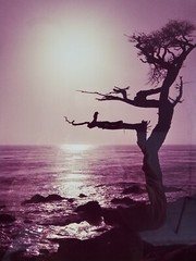 ART – VTG Original Signed Karl Bonfert 35mm Photograph CA 21.25×17.25 Framed Art
