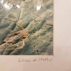 PELE Lilian de Mello Signed 12 x 16″ Matted Print Hawaiian Photographer Wall Art