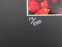Frameable, Matted Roberta Forest BANANAS & PEPPERS 19/250 PHOTO – 10″ x 8″