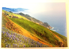 Lot of 2 BROCK BRADFORD Photographs Printed on Canvas ~ Big Sur ~ Ready to Hang