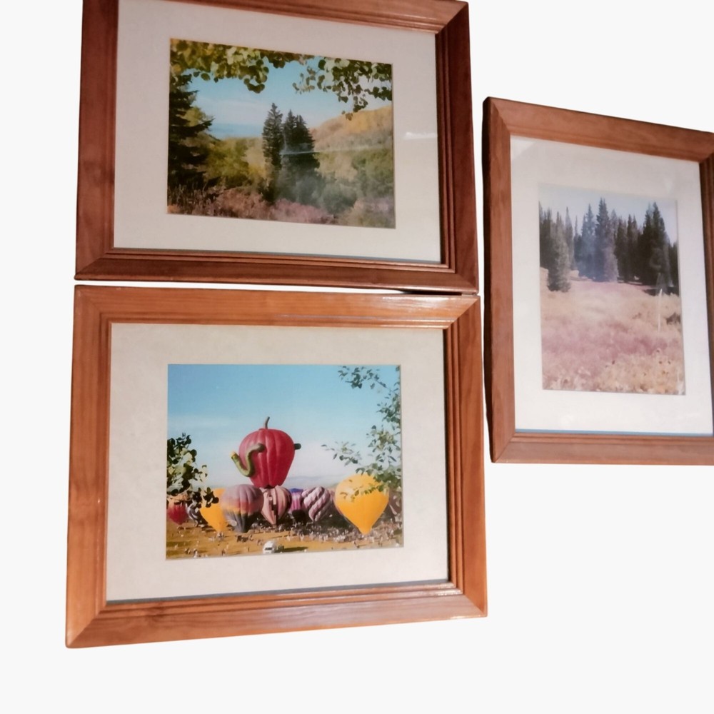 Steamboat Springs Hot Air Balloon Nature Landscape Wood Framed Wall Art lot 3