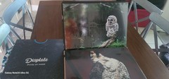 2 Medium Size Gloss Displates For Sale (17.7×12.6in). Brand New.