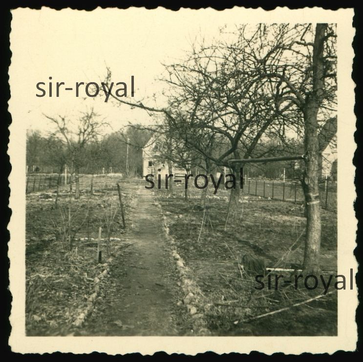 Garden in Aumund – Bremen Vegesack – 1940s – Aumunder Garden – Photo 6x6cm