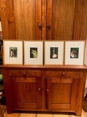 Set of 4 Original Photographs FOR KITCHEN signed and matted Eggplant Radish etc