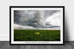 Storm Photography Print – Yellow Wildflowers in Green Field in Texas Photo
