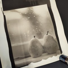 Artist Signed Titled Numbered Black white Pear Photograph 14×12