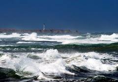 Point Arena Lighthouse California Coast Winter Ocean Waves Highway 1 Photo 8×10