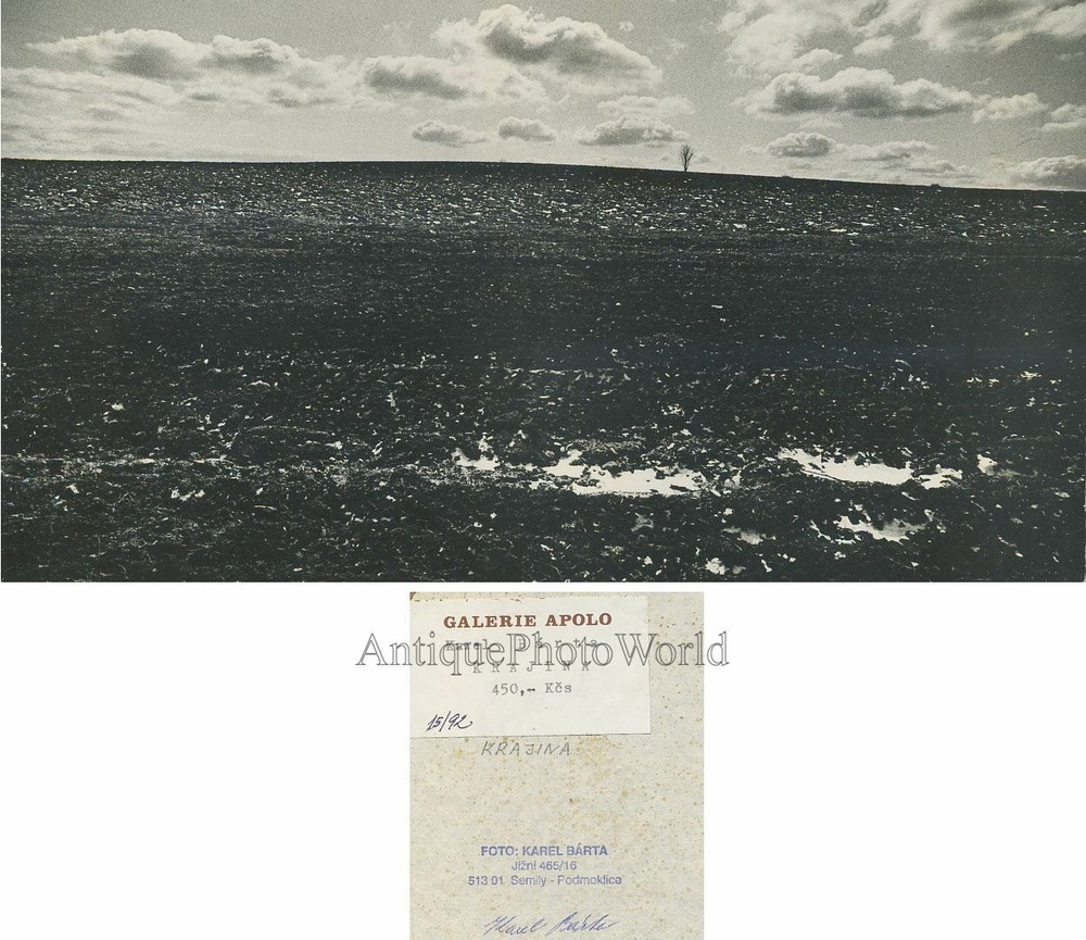Lonely tree in desolate field vintage art photo by Karel Barta Krajina