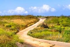 Winding Road Photography print wall deco