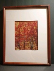 «Indian Red Lake» Signed Photography 15.5 X 19.5″ Framed & Matted 8 x 10