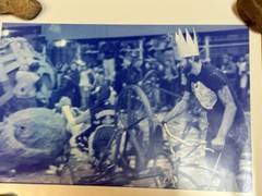 Janine Gordon Photograph 60″x24″ C-print Edition Grid Bike Kill Signed Fine Art