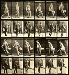 Eadweard Muybridge Photo, Motion Study, «Man with Cane, Hat and Bag» 1880s 11×17