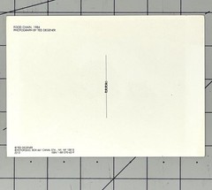 Ted Degener – Food Chain, 1984 – Fotofolio Art Card Print