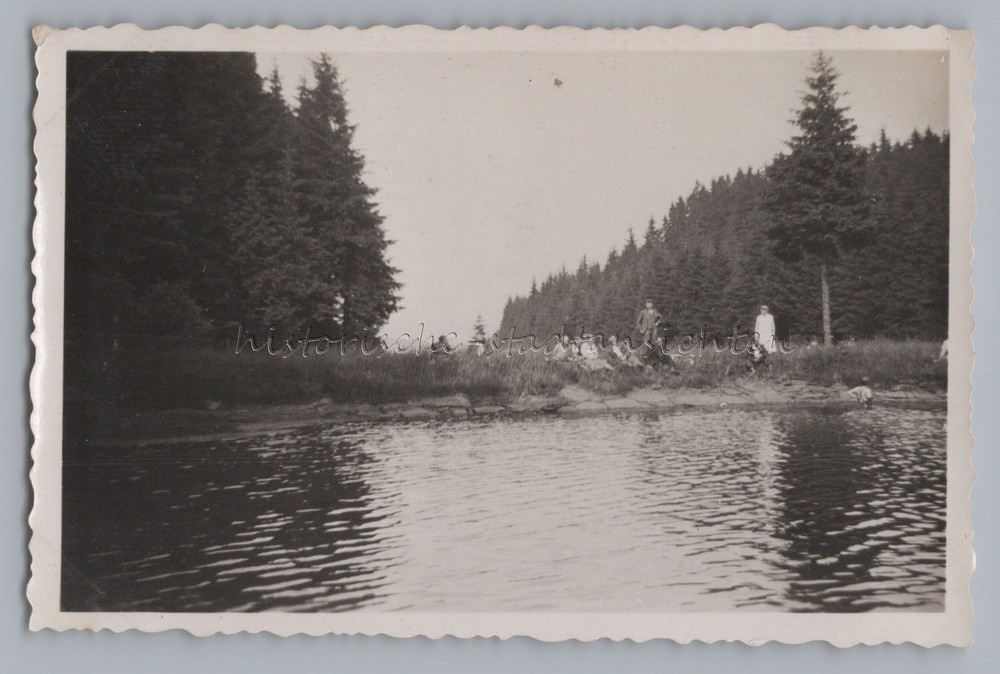 Dam Pressnitz Orpus Mezilesí u Přisečnice Bohemia Czech Republic II – photo