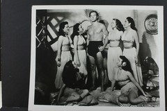 Johnny Weissmuller Tarzan Beefcake – 8×10″ Photo Print – Vintage L1140K
