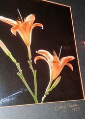 Cibachrome ART PRINT Signed & Framed Print Tony Festa RARE