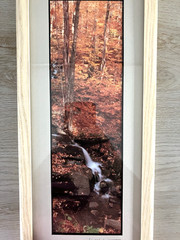 Joseph Barnett Photography Set of 2 Signed Autumn Themed Nature Framed Photos