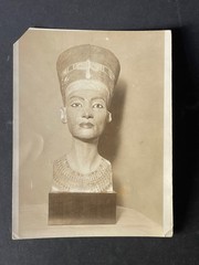 Original 1950s Archaeology Photo Egyptian Nefertiti Bust Silver Print