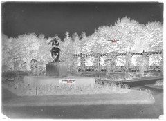 Old Black And White Photo Glass Plate Negative 13X18Cm Vittel Public Park