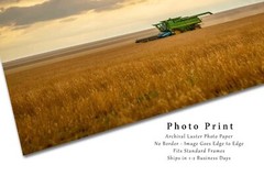 Combine Photography Print: Colorado Farm Equipment Wheat Harvest Country Photo