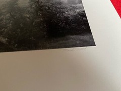 Lot of 5 MARK CITRET Signed Photos With Hardcover Case – Old Halcott Cemetery