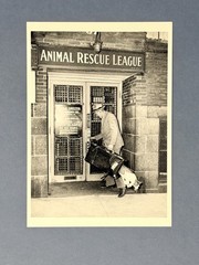 Animal Rescue League c1940 Fotofolio Art Photo Print Card 4.25”x6”