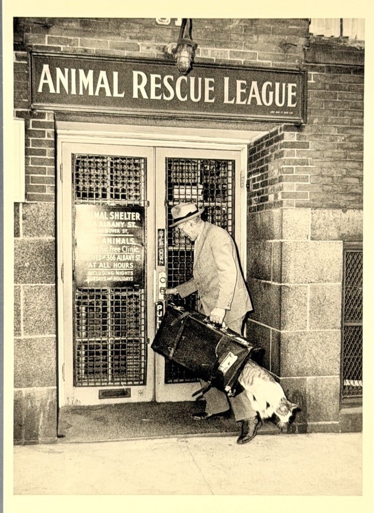 Animal Rescue League c1940 Fotofolio Art Photo Print Card 4.25”x6”