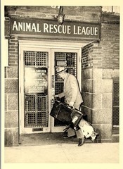 Animal Rescue League c1940 Fotofolio Art Photo Print Card 4.25”x6”