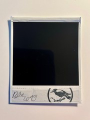 1 x Polaroid, Unique, Flowers, Photo, Photography, Instant Photo, Art, Art, SX 70