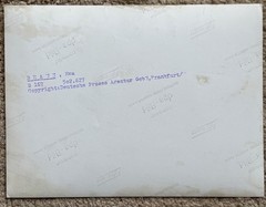 21x16cm Vintage DPA Photo on Agfa Brovira 1950s Eva Braun
