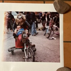 Janine Gordon Photograph 60″x72″ C-print Edition Grid Bike Kill Signed Fine Art