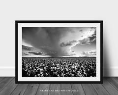 Cotton Field Photography Print | Black and White Picture | Oklahoma Photo